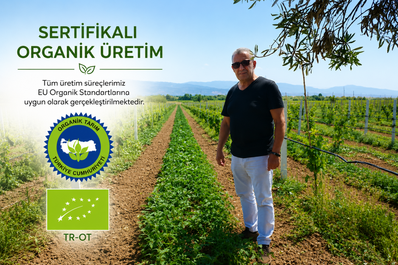 Organik Sertifika Nedir? Organik Ürünler Nasıl Belgelendirilir?